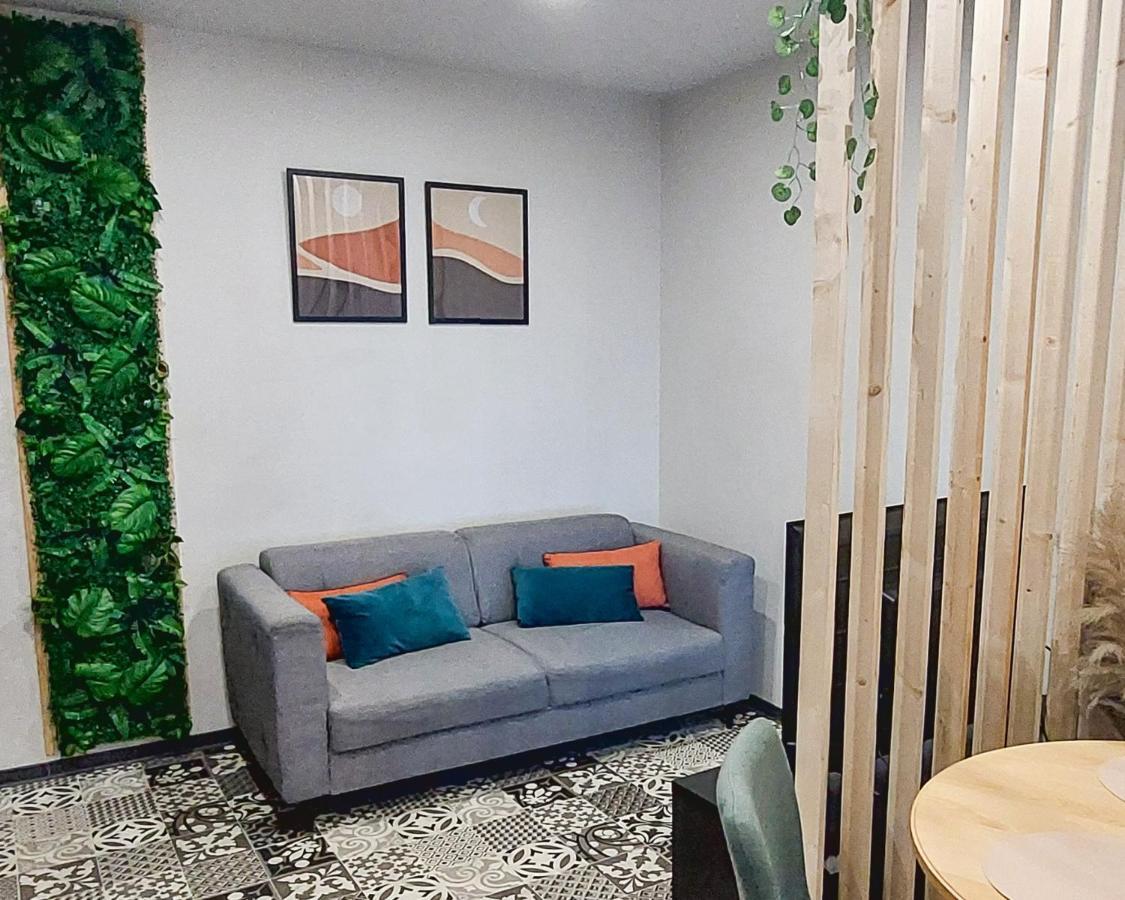 Artgrey * Ideal Pro * Roanne Secteur Gare Et Rue Pietonnes Exterior photo